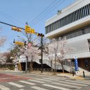 송산로387-7 이미지