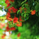 무심재민박 이미지