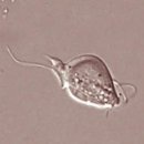 친구가 될 동물병원 이미지