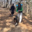 무의공영주차장 | 무의도 무렝게티 반려견동반 백패킹 1편 (코스·주차·가는 길 정리)