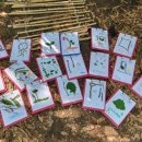 꿀참나무숲 유치원 이미지