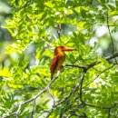 옥산세천 이미지