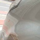 프로칼라덴트 이미지