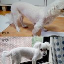 꽃할매놀이터 이미지