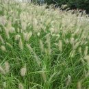 우지낚시터 이미지