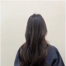 리슈빌헤어