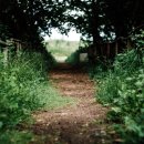 나만의 캘리그래피 이미지