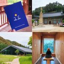 오대산 숙소 옴뷔 후기 ｜서울 교통편부터 월정사 상원사까지 평창 뚜벅이여행