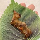 두이농장 이미지