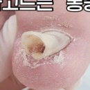 레푸스 동탄호수점
