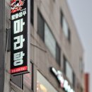 버드내 | 대전 태평동 맛집 탕화쿵푸 마라탕 버드내점 내돈내산 솔직 후기 맵기 추천