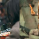 샛별D&P 이미지