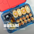 더소풍I | 어린이집·유치원 소풍도시락 고민 끝 콩콩 미니 그래픽 도시락통 내돈내산 후기