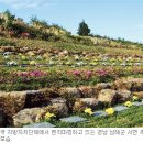 중앙장묘 이미지