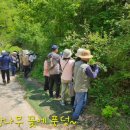영월/태백 다시찾기 1일차_장장골&amp;정암사(2026.5.16.) 이미지