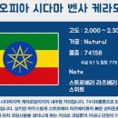 릴라이어블 이미지