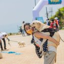 (주)센트럴파크호텔 부산 이미지