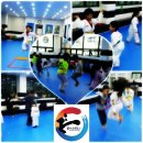 태영태권도장 이미지