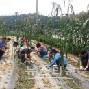 우천면사무소 이미지