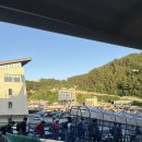 낭만돼지 청춘팜 네이버블로그