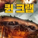 퀸크랩 이미지