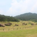 고인돌 - 용산구 | 고인돌