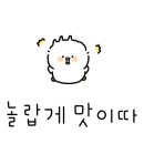정선오일장 단팥빵 전문점(태양이네) 이미지
