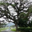 멍베스트 이미지