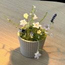 공예문화센터 | 김해문화재단 김해공예창작지원센터 공예사계 비즈 반려식물 출강 후기ㅣ 부산공방 시옷지읒