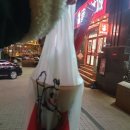위비로프트 | [대련여행] 중국 남방항공 다롄(大连) 도착 / 노면전차 탑승 / 러시아 거리
