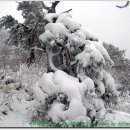 북덕유산＜안성계곡＞, 태백산 산행 1월 16일(일) 이미지