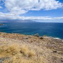 바다파파 이미지