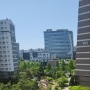 충무공동1 이미지