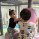 천전동3 Daum카페