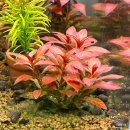 플래츠짐 이미지