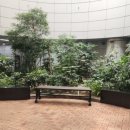 동아무도장 | 흑석동 주말 여행 후기 (+컵넛,용양봉,효사정)