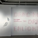 카메라영상박물관 | 서울전시추천 서울공예박물관 금기숙 작가 기증특별전 후기