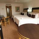 아르엔터테인먼트 | 멕시코 시티여행 10만원대 찐가성비 숙소 추천 호텔 로얄 레포르마 Hotel Royal Reforma 후기