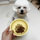 짱돌푸드