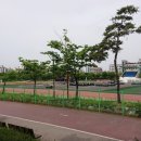 정왕동체육공원 인라인스케이트장