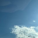 효소빅토리아