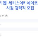 세키스이카세이코리아주식회사 이미지