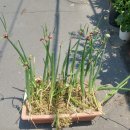 삼동농장 이미지