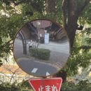 [일본 교환학생] 일상 (5): 手を繋いで帰ろうか👋🗼