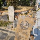 춘천시청별관 이미지