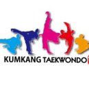 금강 태권도 이미지