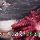 석모도회센터 티스토리