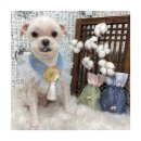 멍앤리치 이미지