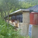 꿀벌농장 이미지