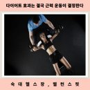 원효로1 | [원효로 헬스장] 헬스를 해야 하는 이유